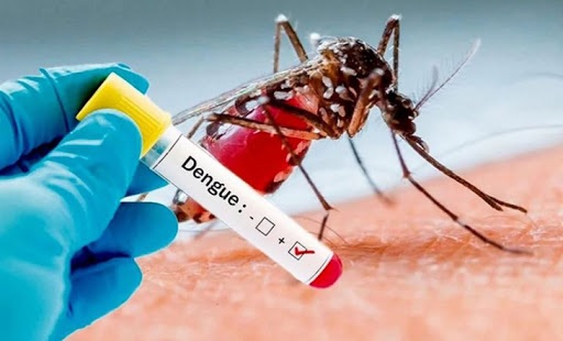 Dengue: la gestión anterior desoyó una alerta de la OMS y se derrumbó el presupuesto destinado a prevención y control